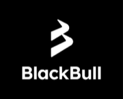 Black Bull Markets